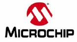 Microchip